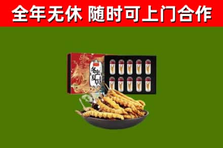 岚县回收冬虫夏草价格