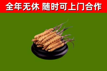 岚县烟酒回收冬虫夏草.jpg